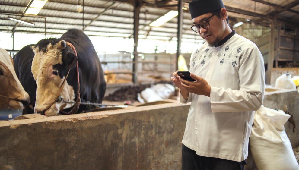 Tracking & Traceability of Zabiha Meat