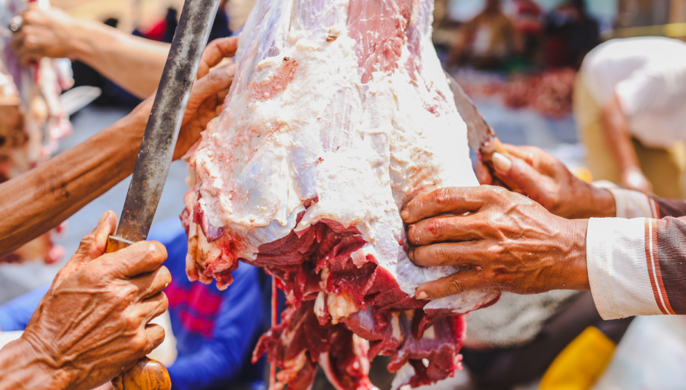Traditional vs. Modern Halal Slaughter Techniques