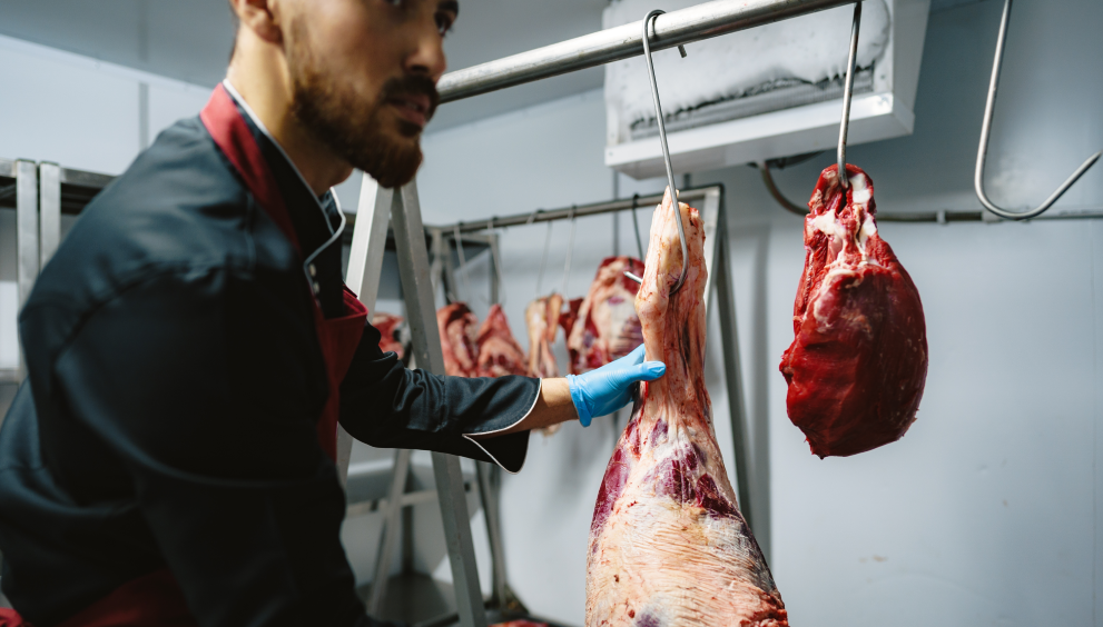 Innovative Tools in Modern Halal Slaughterhouses