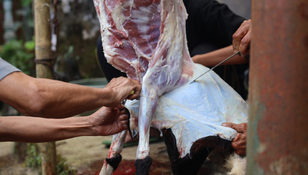 Maintaining Equipment for Maximum Efficiency in Halal Slaughterhouses