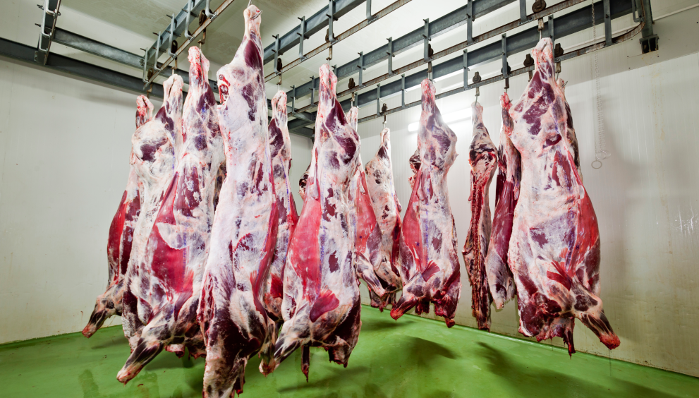 Understanding Halal Slaughtering Rules