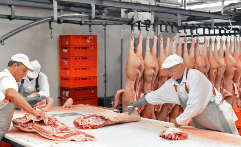 Worker Safety Standards in Slaughterhouses